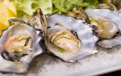 Ostras, el superalimento gourmet