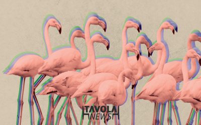 El complejo de lagunas de Málaga